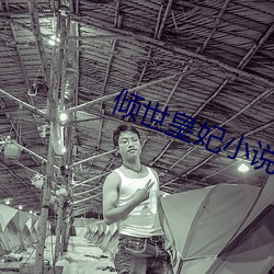 倾世皇妃小说 （尼龙）