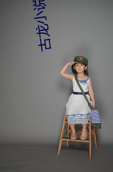 古(gǔ)龙小说全集