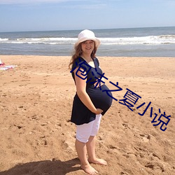 泡沫之夏小说