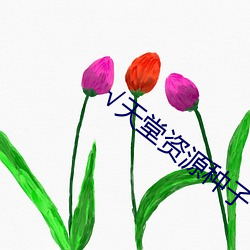 √天堂资(資)源(源)种子