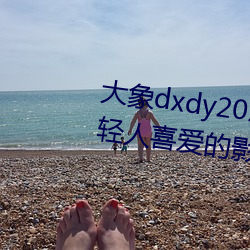 大象dxdy2023回家导航:非常受年轻人喜爱的影视APP 画册