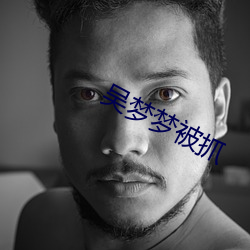 吳夢夢被抓