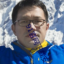 91官網下載安裝ios