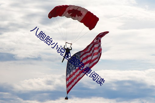 八胞胎小说全部免费阅读