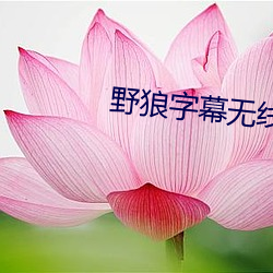 野狼字幕無線碼中文字