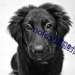 mofos美國射頻