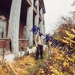 第一炉香小说