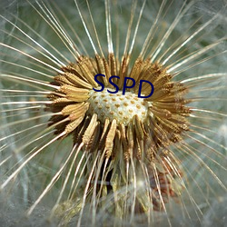 SSPD