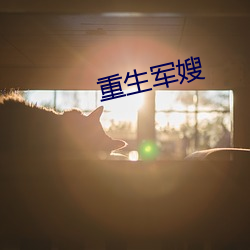 欧博abg - 官方网址登录入口