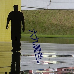 六九黃色。