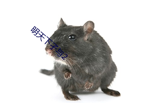 明天下孑与2 反手）