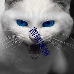 首(shǒu)辅娇娘