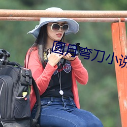 圆月弯(wān)刀小说