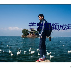 芒果视频成年app （鹤处鸡群