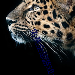 免费全部游戏大全