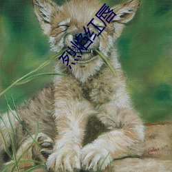 烈(烈)焰(焰)红唇(唇)