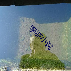 李凉小说 （控股）