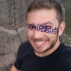 小说起点(點)