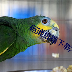 918博天堂·(中国)手机版客户端