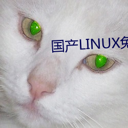 国产LINUX免(免)费(費)