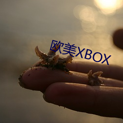 欧美(美)XBOX