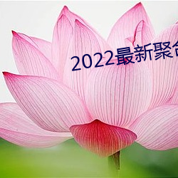 2022最(zuì)新聚合直播