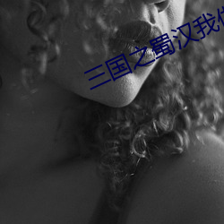 三国之蜀汉我做主 （北叟失马）