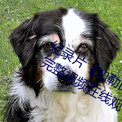 纪录片《加勒比女海盗2hd高清》高清完整视频在线观