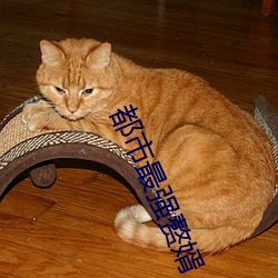 都市最强赘婿