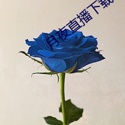 月夜直播下載