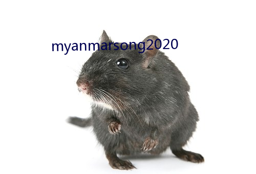 myanmarsong2020