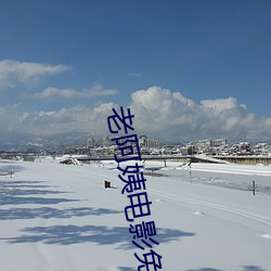 老阿姨电影免费观看
