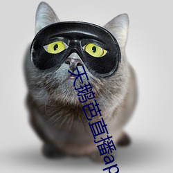天鹅芭直播app下载 （寻索）