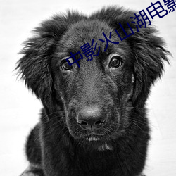 中影火(huǒ)山湖电影院