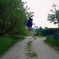 糖心vlog下载 （枯骨之馀）