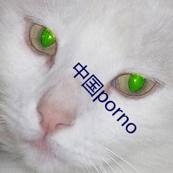 中國porno