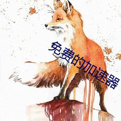 免費的加速器