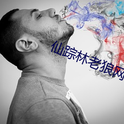 仙踪林老(老)狼网站欢(歡)迎你(你)二(二)百