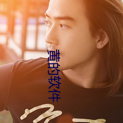 黄的软件