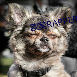 欧(歐)美RAPPER潮流