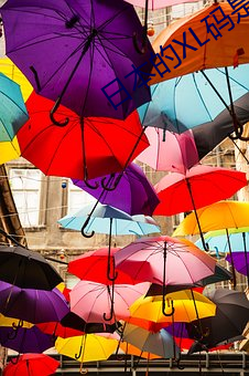 日本的(de)XL码(mǎ)是多大