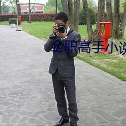 全职高手小说