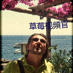 草莓视(shì)頻官