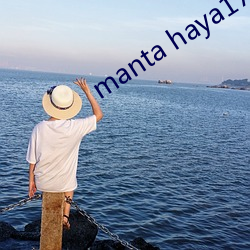 manta haya177773kino()