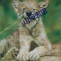 山(山)河(河)表(表)里