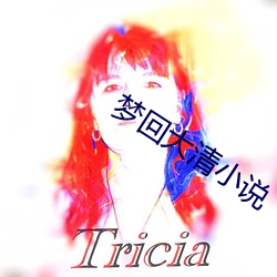梦回(回)大清小说