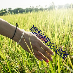 vwinӮ(й) - ٷվ