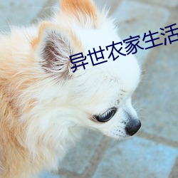异世农家生活 （溃疡）