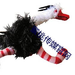 蜜桃传媒(méi)官(guān)网