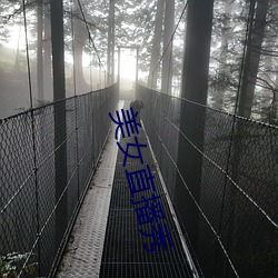 美女直播秀